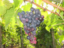 26092010_004.JPG